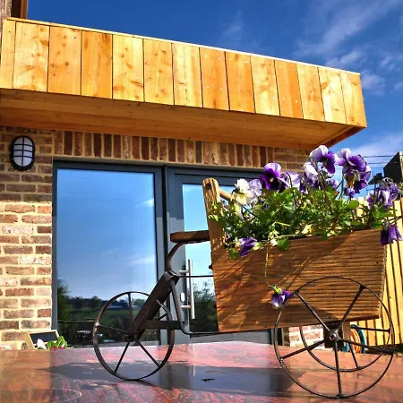 Quaint In Near Forest